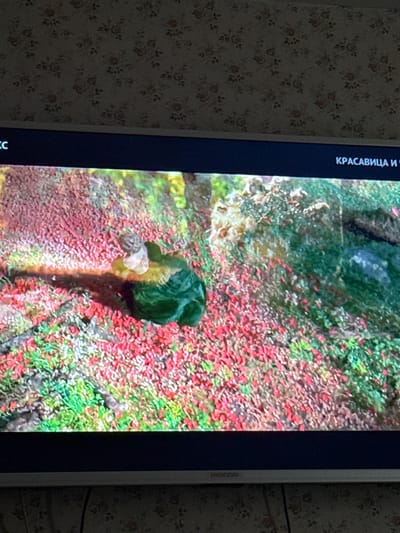 A photograph of a television screen displays a scene depicting a dense, colorful ground cover interspersed with green patches and a prominent dark green clump in the middle of the frame. A blurred object with tan, beige, and brown tones lies adjacent to the green clump. The television screen is partially visible, showing the screen border and text in Russian along the left edge. The background consists of a wall with a floral patterned wallpaper. The location in Nevzorovo, Russia, is not discernible within the image context.