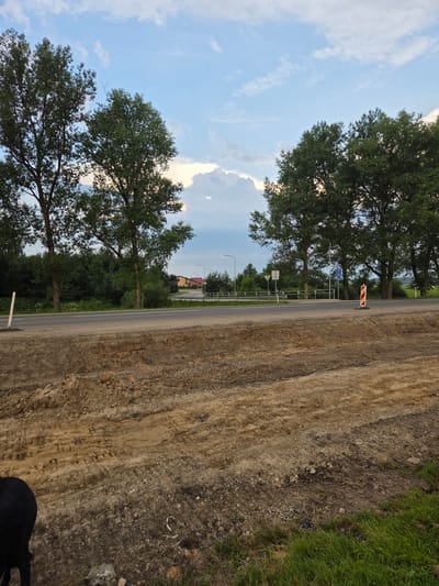 The image depicts a scene in Širvintos, Lithuania, focusing on an area undergoing road construction or repair. In the foreground, disturbed earth and gravel suggest excavation or groundwork. The middle ground features a paved road with a white line marking, bordered by a metal guardrail. Several tall trees with green foliage line the opposite side of the road, interspersed with a dense cluster of smaller trees and bushes. Beyond the trees, buildings with red and beige roofs are visible, along with streetlights. The sky is partly cloudy, with a mix of blue sky and white clouds, some of which are illuminated by sunlight. In the lower left corner, the hindquarters of a black dog are visible, facing away from the camera. A striped orange and white marker post stands near the road's edge.