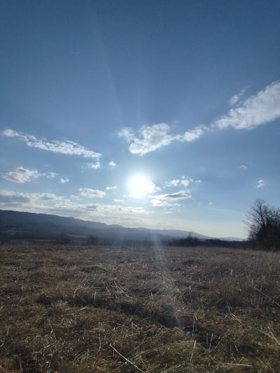 An outdoor landscape photograph depicts a rural scene near the city of Yankovtsi, Bulgaria. The foreground and midground feature an expansive field dominated by dry, brown-yellow, dormant grass and scattered sparse, bare vegetation. Above, the sky is a clear, bright blue with scattered white cumulus clouds. The intensely bright sun is positioned in the upper center-right, emitting strong light rays downwards across the frame, creating a noticeable lens flare. In the background, a series of dark, undulating hills or mountains stretches horizontally across the frame, appearing partially obscured by atmospheric haze. A cluster of bare deciduous trees with dark branches is visible along the far right edge of the field. No individuals, animals, or man-made structures are present within the observable scene.