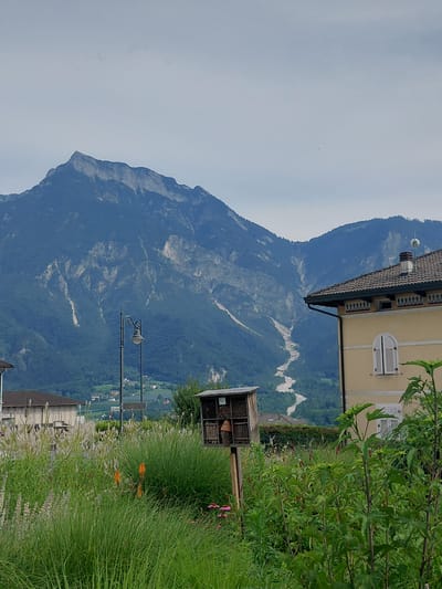In Levico Terme, Italy, a mountain range dominates the background under a cloudy sky. A narrow, winding river flows down the mountainside, its path clearly visible amidst the lush green vegetation and rocky terrain. In the foreground, a well-maintained garden bursts with a variety of plants, including tall grasses, flowering bushes, and ornamental flowers. A rustic insect hotel stands as a focal point within the garden. To the right, a cream-colored building with a tiled roof and white-shuttered windows is partially visible. A decorative street lamp stands near the garden's edge, adding to the picturesque scene. The overall atmosphere is one of natural beauty and peaceful living.