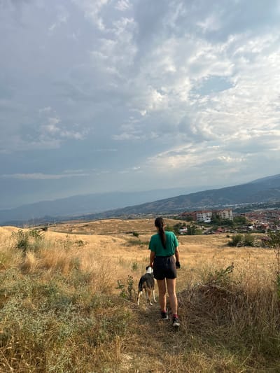 The image depicts a person and a dog on a grassy hillside overlooking a town. The person, viewed from behind, is wearing a green t-shirt and black shorts, with long dark hair pulled back. They are holding a leash attached to the dog, which is black and white. The setting is a dry, grassy slope with scattered bushes. In the background, a town with multi-story buildings can be seen nestled in a valley, with hills and mountains stretching into the distance. The sky is partially cloudy, with patches of blue sky visible. The overall impression is that of a casual walk or hike on a warm, possibly summer day. The scene appears to be set in the afternoon, given the lighting. There are no visible text elements in the image.