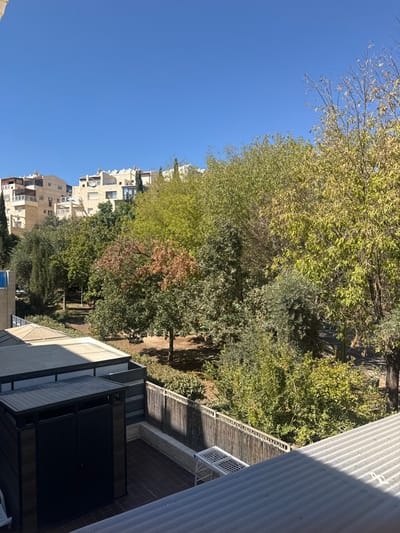 An elevated, daylight view captured in Maale Adumim, Palestinian Territory, depicts a residential and green space environment under a clear blue sky. In the foreground, the lower right quadrant reveals a corrugated metal roof, partially shadowed. Adjacent to this, in the lower left and center, is a tiled patio area featuring reddish-brown pavers. A dark brown or black outdoor storage shed with a slatted, angled roof is positioned on the patio. A white, rectangular drying rack stands near a low, light-colored concrete wall that borders a vertical slat wooden fence. Beyond the fence, a dense strip of green shrubbery gives way to a park-like area. This green space contains numerous trees, exhibiting varied foliage colors including vibrant greens, yellowish-greens, and some with autumnal reddish-brown hues. A path, appearing to be paved, is discernible winding through the trees in the mid-right. In the background, across the park, multiple light-colored residential buildings, consistent with multi-story apartments or townhouses, are visible. These structures feature flat roofs, some with visible solar panels or similar rooftop installations. No individuals, animals, or vehicles are present. The scene is illuminated by bright sunlight, casting distinct shadows.