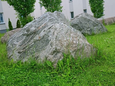 A foreground of green grass and clover with scattered small white flowers is partially obscured by several large, grey, granite boulders. The boulders are irregular in shape and texture, with some appearing more weathered than others. In the background, a row of modern, light-colored apartment buildings with white window frames can be seen. Trees with lush green foliage are planted between the buildings and in front of them, creating a backdrop of natural elements against the urban architecture. The overall scene depicts a landscaped area in Peetri alevik, Estonia, likely a park or communal outdoor space. There are no people or animals visible in the image.