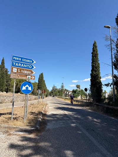 This image depicts a rural or semi-rural road within the municipality of Nardò, Lecce province, Puglia, Italy, on a clear, sunny day. The road, an asphalt-paved surface without visible lane markings, extends into the distance under a bright blue sky.

In the left foreground, a cluster of four directional road signs is mounted on two metal poles. From top to bottom, the blue rectangular signs with white text and arrows indicate "PORTO CESAREO" (left arrow), "TARANTO" (left arrow), and "S. ISIDORO" (right arrow, with a faint sailboat graphic below the text). Beneath these, a brown rectangular sign with white text and a pedestrian icon points right to "Baia di Porto Selvaggio". Below the directional signs, a circular blue mandatory sign with a white graphic depicting two arrows diverging downwards is present.

The immediate roadside on the left features dry, light-brown earth with sparse, yellowish vegetation and gravel. A traditional dry stone wall runs parallel to the road on this side. Tall, slender cypress trees line the left side of the road and extend into the mid-ground.

On the right side of the road, similar dry vegetation is visible. A prominent gray metal street light pole with a modern luminaire stands in the mid-ground. Other streetlights are spaced further down the road. Scattered trees, including some olive trees and a single palm tree, are visible. White or light-colored residential buildings are partially obscured by trees in the mid-distance on the right.

In the mid-distance, on the right side of the road, a single individual is observed riding a road bicycle away from the camera. The cyclist is wearing dark-colored cycling attire and a helmet. Long shadows from the trees and poles are cast across the road from the left, indicating strong overhead sunlight.