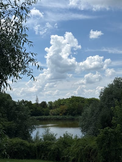 This is a vertical, eye-level shot of a tranquil body of water surrounded by lush greenery under a partly cloudy sky. The water's surface is a muted green, reflecting the surrounding foliage and the sky. Dense trees and bushes frame the scene, with a prominent weeping willow on the left and other deciduous trees forming a thick canopy. In the background, a line of taller trees and reeds borders the water, suggesting a natural or park-like setting. The sky is a vibrant blue, dotted with dramatic, puffy white cumulus clouds. The image appears to depict a scene in Grivitsa, Bulgaria, likely a park or natural area within the town, known for its scenic beauty. No people are visible in the frame.
