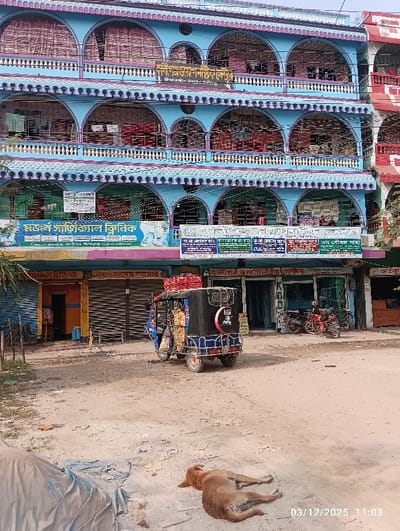 The image depicts an outdoor street scene in Kaliganj, Bangladesh, at approximately 11:03 AM on December 3, 2025. In the foreground, a brown dog is lying on its right side on an unpaved, dusty ground, facing left with its legs extended. To the left of the dog, a light-colored tarp or fabric is crumpled on the ground.
The mid-ground features a blue three-wheeled auto-rickshaw, possibly an 'easy bike' type vehicle, parked facing left on the dirt road. It has a black canopy roof with red items, possibly crates, stacked on top, and additional packages secured to its left side. A circular black and white decal is visible on the rear of its canopy.
The background is dominated by a multi-story building, likely four floors, with a light blue exterior and purple decorative accents. Each floor features multiple arched openings functioning as windows or balconies, protected by white railings and metal grates. A prominent sign in Bengali on the lower level identifies "মডার্ন প্যাথলজিক্যাল ক্লিনিক" (Modern Pathological Clinic). Additional signs with Bengali text are affixed to the facade, suggesting other businesses or medical practices.
At ground level, below the blue building, several storefronts are visible. One on the far left has an open door, revealing a person partially inside. An adjacent storefront has a closed corrugated metal roll-down shutter. Further to the right, another storefront is open, and two motorcycles, one red and one partially obscured, are parked nearby. To the far right, a portion of an adjacent building with a reddish-orange facade and similar arched architectural elements is visible. The scene is static, with no apparent interactions between the visible subjects.