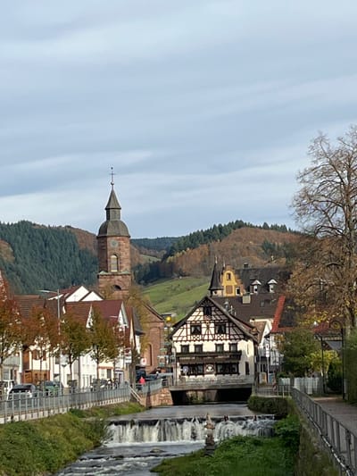 The image depicts a panoramic view of the town of Oppenau, Germany, set within a valley. A river flows through the scene from right to left, featuring multiple small, artificial waterfalls across its width. On the right bank of the river, a paved pedestrian pathway with a dark metal railing extends into the distance. A small cairn, composed of stacked stones, is situated on the right riverbank between two waterfalls.

On the left side of the river, a street runs parallel to the water, where several vehicles, including light-colored sedans and dark SUVs, are present; some appear parked, others in motion. Buildings line both riverbanks. Prominently in the midground, spanning the river, is a multi-story half-timbered building with dark wooden beams on a light facade and a dark roof, featuring multiple windows and a visible balcony area. Adjacent to and behind this building are other structures with varying rooflines, including one with a distinct yellow upper section and a small spire.

Centrally positioned, behind the immediate town structures, rises a tall, octagonal church tower constructed of reddish-brown stone, featuring a clock face and topped with a pointed spire and a cross. The lower parts of other buildings with white facades and reddish-brown tiled roofs are visible along the left bank, partially obscured by trees exhibiting orange and red autumnal foliage.

In the background, rolling hills covered with dense green coniferous forests and patches of deciduous trees displaying autumn colors frame the town. The sky above is overcast with light grey, stratiform clouds. No specific individuals are clearly discernible or engaged in significant interactions; however, the presence of vehicles on the street suggests typical urban activity.