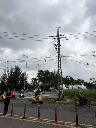 The image depicts an overcast street scene in Sơn Trà Ward, Vietnam, featuring urban infrastructure, multiple individuals on motorbikes/scooters, and several monkeys on overhead power lines.

The sky is uniformly grey and heavily clouded. Overhead, numerous black power lines span horizontally across the frame. A tall, dark grey metal lattice-structure utility pole stands prominently on the right side of the road, supporting multiple power lines with ceramic insulators and featuring a single downward-facing street lamp fixture. Further to the left, another narrower street light pole is visible, equipped with a surveillance camera.

At least four monkeys are observed on the power lines: one monkey is positioned on the leftmost line, moving left; another is perched on a lower line to the left of the main utility pole; a third is perched on a line to the right of the main utility pole; and a fourth is further right on a higher line.

The foreground consists of an asphalt road marked with yellow and white lines, bordered by several orange and white striped flexible bollards. On the road, multiple individuals and vehicles are present. On the far left, a woman in a black top and dark pants stands beside a yellow scooter, which is parked facing right. Behind her, a person on a red scooter wearing an orange shirt is partially visible. Centered in the mid-ground, a person in a dark shirt sits on another yellow scooter. Further back, a white scooter is parked with a person sitting on it, and another individual stands nearby. In the background, green trees, including some coniferous species and denser deciduous foliage, line the road and extend into the distance, with some open grassy areas visible on the right. On the far right of the road, a person wearing a green long-sleeved top and a white helmet rides a red motorbike towards the right.