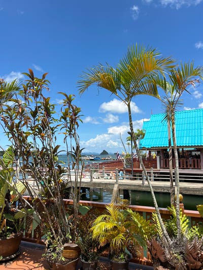 This is a medium shot, eye-level, vertical, natural light outdoor photograph of a waterfront area in Tambon Ko Panyi, Thailand. In the foreground, potted plants, including palm trees and leafy shrubs, are arranged on a terracotta-colored surface with a wooden railing. Beyond the plants, a concrete walkway or pier extends over the water, leading to buildings with bright turquoise roofs. Several boats are docked or moving in the water. The sky is blue with scattered white clouds. The scene is serene and depicts a tropical, coastal environment.