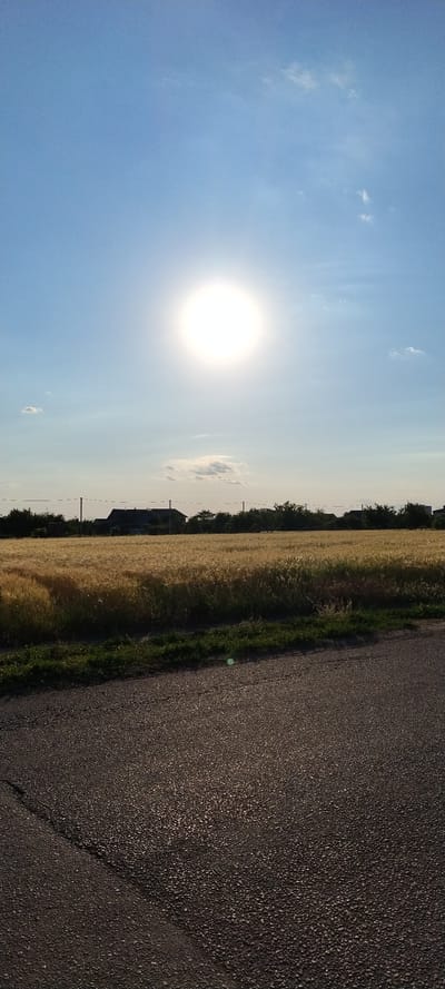 The image depicts a pastoral scene in Sokolivske, Ukraine, under a bright, sunlit sky. The sun, a prominent, luminous orb, dominates the left side of the frame, casting a warm glow across the landscape. wispy clouds are scattered across the vast blue expanse, suggesting fair weather.
The foreground is occupied by a dark asphalt road that stretches diagonally across the right half of the image. The road's textured surface is clearly visible, hinting at a rural or suburban setting. Adjacent to the road, on the left, is a field of golden wheat, its stalks shimmering in the sunlight. This suggests the time of year is likely late summer, during harvest season.
Beyond the wheat field, a line of dark green trees forms a natural border, behind which hints of buildings can be seen, suggesting a small village or scattered farmsteads. Telephone poles with thin wires are also visible, further reinforcing the rural context. The overall mood is serene and peaceful, evoking a sense of rural tranquility. The time of day appears to be late afternoon, judging by the angle of the sun and the soft lighting. There is no visible text in the image.