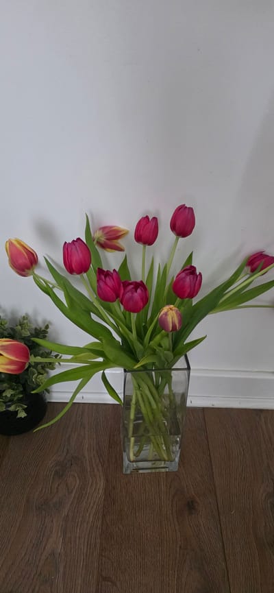 The image shows a bouquet of tulips in a clear glass vase. The tulips are a mix of deep pink and yellow with pink edges. They are arranged in a rectangular glass vase filled with water. The vase is placed on a wooden floor. To the left of the vase, there is a black pot containing greenery, and another tulip with yellow and pink coloring is visible. The background is a plain white wall with a subtle shadow cast by the tulips. The scene is indoors, with the lighting suggesting it might be daytime, possibly in a residential setting. There is no visible indication of the specific location in the city of Peterborough, United Kingdom.