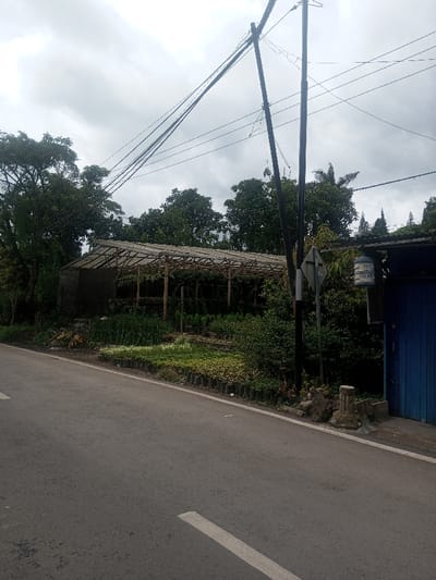 The image depicts a static roadside scene, reportedly in Sarwahi Mal., India, under an overcast sky. In the foreground, an asphalt road with a partial white broken line runs from the lower-left towards the center-right. Adjacent to the road, a plant nursery is visible, featuring numerous small plants in black plastic bags lining the roadside and arranged in terraced beds. Behind these, an open-sided structure with a wooden or bamboo frame and a translucent roof serves as a greenhouse or shelter, containing more vegetation. Dense green trees border the scene on the left and form a backdrop. On the right, two dark utility poles stand, supporting multiple overhead power lines that traverse the upper portion of the frame. A small, dark blue building or stall with a corrugated roof is situated on the far right. A large, clear plastic water dispenser bottle, labeled with text including 'ES DULU' and additional characters, is suspended from the roof overhang of this building. No individuals or active subjects are present within the frame.