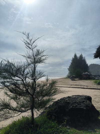 A serene beach scene unfolds in Meudheun, Indonesia, under a bright, overcast sky. The foreground is dominated by a dark, textured rock on the right and lush green grass. To the left, a slender tree with sparse, needle-like foliage stands prominently. Beyond the immediate foreground, a sandy beach stretches out, meeting the gentle waves of the ocean. Further inland, several small, rustic huts with thatched roofs are nestled amongst tall, dark green trees, suggesting a tranquil, possibly tourist-oriented location. A few vehicles are parked near the huts, indicating some level of human presence. The overall atmosphere is peaceful and natural, typical of a coastal Indonesian landscape.