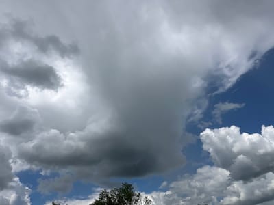 The image shows a cloudy sky with patches of blue visible. There are large, dark gray clouds dominating the center and left side of the frame, with some lighter, fluffier white clouds scattered throughout. The bottom of the image shows the tops of trees. The image does not provide any information that would allow for the identification of a specific location in Chernovskii, Russia.