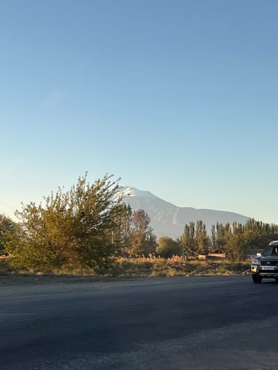 This image captures a wide outdoor view in the vicinity of the city of Griboyedov, Armenia, under a clear, light blue sky. A prominent snow-capped mountain peak dominates the distant background, rising above undulating hills and obscured partially by a line of scattered deciduous trees, some exhibiting autumnal hues. Below this distant landscape, a dense line of varying foliage, including a large, vibrant green leafy tree on the left, separates the background from the foreground. A dark asphalt road occupies the lower half of the frame, stretching horizontally across the scene. On the far right, a dark-colored SUV, specifically a Nissan X-Trail or similar model, is partially visible on the road's shoulder, facing left. The vehicle displays an Armenian license plate, 37 US 774. A person's head and upper torso are discernible through the open driver's side window. The scene is illuminated by natural sunlight, suggesting either early morning or late afternoon conditions, with warm light reflecting on some foliage.