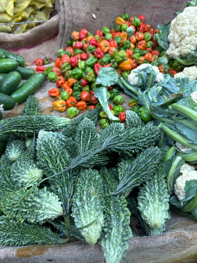 A market stall in Kodagoda, Sri Lanka displays a variety of fresh produce. In the foreground, a large pile of bumpy, green bitter melons dominates the scene. Behind them, a collection of small, brightly colored chili peppers, ranging from red to orange and green, are heaped up. To the right, pieces of cauliflower with their white florets and green leaves are visible. In the background, to the left, a pile of green cucumbers rests. The produce is laid out on a rough, wooden surface, with jute sacks partially visible in the background. The scene captures a typical outdoor market environment in Sri Lanka.