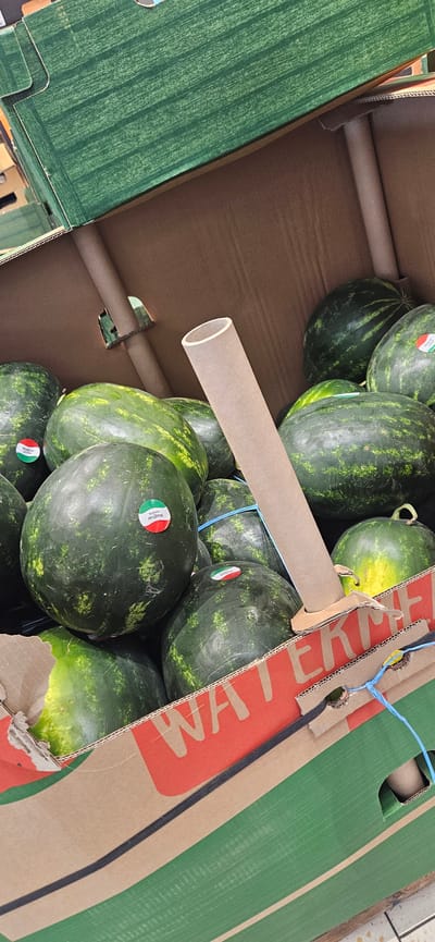 This media file shows a close-up view of a cardboard box filled with watermelons. The box is predominantly green and brown, with red lettering visible on the side that spells out "WATERM". The watermelons are large and dark green with lighter green stripes, and some have round stickers with an Italian flag motif and the word "Magyar" printed on them. Several watermelons are tied with blue string. A cardboard tube runs horizontally across the center of the image, resting on top of some of the watermelons. The setting appears to be a retail or distribution environment, possibly a market or warehouse, given the packaging and bulk quantity of the fruit. The lighting suggests it is daytime. No people are visible in the frame. The presence of "Magyar" on the stickers may indicate the origin or variety of the watermelons, suggesting a connection to Hungary, consistent with the provided location context of Keszthely, Hungary.