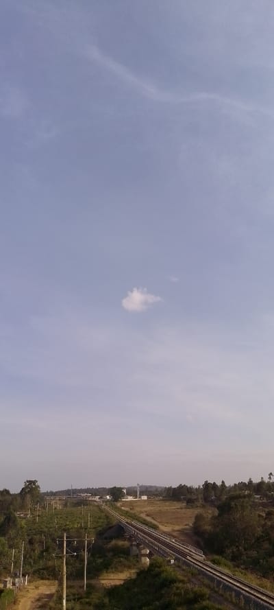 The image captures a wide-angle landscape view dominated by a clear sky, an expansive natural environment, and a prominent railway line.

The top two-thirds of the frame is taken up by a vast, light blue sky, indicating daytime. The sky is largely clear, with very faint, wispy cloud formations visible, particularly in the upper left and center. A singular, distinct, small white cumulus cloud is centrally located in the sky, providing a focal point against the otherwise clear expanse.

Below the sky, the landscape extends into the midground and foreground. A double-track railway line is a significant feature, curving from the mid-left towards the right side of the frame before receding into the distance. This railway line crosses over an elevated structure, resembling a bridge or viaduct, with visible concrete supports and protective guardrails along its sides. The tracks appear well-maintained, suggesting active use.

The land around the railway line is characterized by dense vegetation. On the left side of the tracks, there's a mix of trees and lush green bushes, particularly prominent in the foreground. Several utility poles, likely carrying electrical or communication wires, are spaced along the left side of the image, running roughly parallel to the viewer's perspective and the railway. A dirt path or road is visible beneath these poles in the bottom-left corner. On the right side of the tracks, the terrain includes patches of drier, brownish-yellow land interspersed with trees and green growth.

In the distant background, along the horizon, several structures can be seen. These include what appear to be white buildings, possibly part of an industrial or administrative complex, and tall, slender structures that could be communication towers or water tanks. To the left of these distant buildings, another curved structure, potentially an elevated road, another railway line loop, or a water treatment facility, is faintly visible.

The overall impression is one of a serene, open landscape, likely a rural or semi-rural area, with a blend of natural elements and human infrastructure. The lighting suggests it is daytime, with soft, even illumination and no harsh shadows, possibly late morning or early afternoon. No human figures or specific activities are visible in the static scene. There is no visible text in the image.