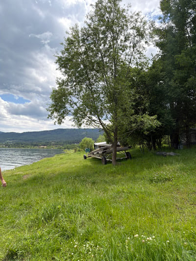 The image captures a lakeside scene in Цигов чарк, Bulgaria, under an overcast sky with visible patches of blue. In the foreground, dense green grass, interspersed with white and pink clover, slopes down towards a body of water. A human hand and forearm are partially visible entering the frame from the lower-left. The midground features a large, dark-colored lake with rippled surface texture, extending to the left. A prominent deciduous tree with light green foliage stands center-right on the grassy bank. Beneath this tree, a white, multi-wheeled boat trailer with rusty wheels is parked on the grass. To the right of the trailer, a cluster of darker, denser trees forms a wooded area, partially obscuring other objects on the ground, including what appear to be stacked tires or dark materials. In the background, a series of forested mountains spans the horizon across the lake, with scattered buildings visible along the distant shoreline at their base. The sky above is largely covered by grey and white clouds.