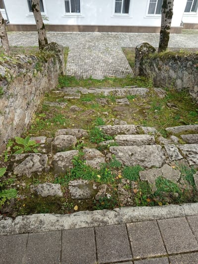The image shows an outdoor scene with a stone staircase leading down from a paved walkway. The staircase appears old and weathered, with moss and grass growing between the stones. There are trees with moss on their trunks on either side of the stone wall bordering the staircase. In the background, a white building with windows can be seen. The scene is located in Giaginskaya, Russia. There are no people or animals visible in the image.