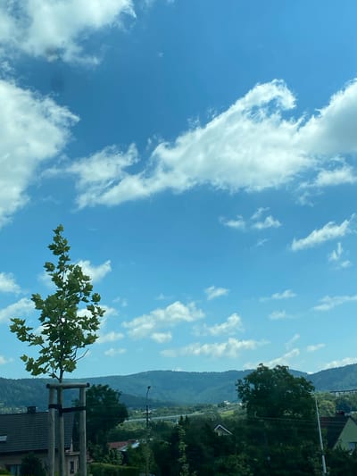This image captures a view of the city of Bielsko-Biała, Poland, on a bright, sunny day with a clear blue sky filled with fluffy white clouds. In the foreground, a young, leafy tree stands supported by wooden stakes and straps. To the left, the dark, tiled roof of a building is visible. In the middle ground, a lush green landscape with more trees and some buildings unfolds, leading to rolling hills and mountains in the background. A road and a bridge are faintly discernible in the distance. The overall scene conveys a peaceful, natural setting within an urban environment.