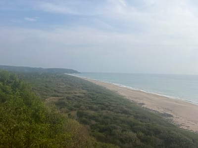 A scenic view captures a coastline, where a sandy beach meets the ocean under a hazy sky. Dense green vegetation covers the land adjacent to the beach, suggesting a coastal forest or scrubland. The coastline curves gently, and the horizon blends into the sky. The overall atmosphere is tranquil and natural.
