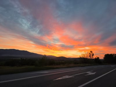 The image shows a road with lane markings and arrows, indicating a forward direction of travel. The road surface is asphalt. On the left side of the road, there is a grassy verge and then a dark, dense line of trees and vegetation. In the background, rolling hills and mountains are silhouetted against a dramatic sunset sky. The sky is filled with vibrant orange, pink, and grey clouds, suggesting the sun is either rising or setting. The overall scene depicts a rural landscape with a road passing through it during twilight. There are no people or animals visible in the image. The location is specified as being in the city of Novi Chiflik, Bulgaria.