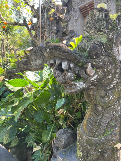 The image features a weathered stone carving of a mythical creature, possibly a Balinese dragon, covered in moss and lichens. The sculpture is located in Kedewatan, Indonesia. Lush green foliage surrounds the base of the carving. In the background, a traditional Balinese temple structure is visible, adorned with intricate carvings and decorations. A tree with orange flowers is seen behind the temple.
