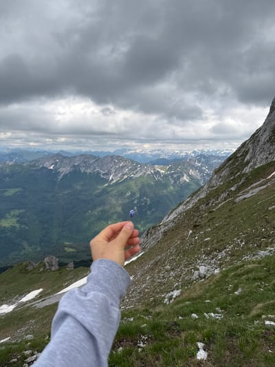 A person's left arm, wearing a grey sweatshirt, is extended into the foreground of the image, holding a small purple flower between their thumb and forefinger. The arm and hand are in focus, while the background is a vast mountain landscape under a cloudy sky. The mountains in the background are rugged and covered in greenery, with some patches of snow visible on the higher peaks. The scene appears to be in a mountainous region, possibly the mountains surrounding Jošanica, Montenegro, given the dense vegetation and rocky terrain. The overall mood is serene and evokes a sense of natural beauty.