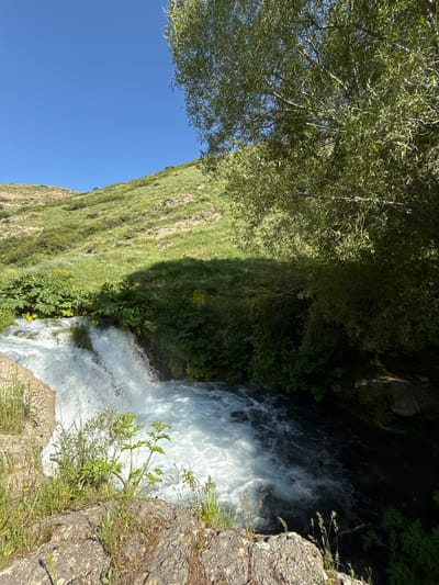 The image depicts a natural scene with a focus on a flowing body of water. In the foreground, rough, textured rocks are visible, with sparse green grass and weeds growing amongst them. To the left, a small waterfall cascades down, creating white, frothy water that merges into a darker, deeper stream to the right. Lush green vegetation, including bushes and tall grasses, borders the water's edge. In the middle ground, a grassy, sun-drenched hillside rises, dotted with patches of rocky terrain and smaller green shrubs. The background is dominated by a clear, bright blue sky. A large tree with dense green foliage casts a significant shadow over the right side of the scene, covering some of the vegetation and water. The overall environment suggests a secluded, natural setting, possibly a rural or mountainous area. This location is identified as being in the vicinity of the city of Angeghakot, Armenia, known for its natural landscapes and historical sites. There are no people or animals visible in the image.