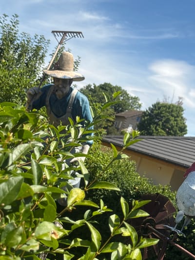 This image depicts a garden scene with a statue of a gardener in the foreground, partially obscured by lush green foliage. The gardener statue wears a straw hat, overalls, and holds a rake. Behind the statue, trees and a portion of a building with a tiled roof are visible under a bright blue sky with scattered clouds. To the far right, a metal rooster garden ornament is partially visible. The overall impression is of an outdoor setting, likely a residential garden in Coteaux du Lizon, France, with a focus on decorative garden elements.