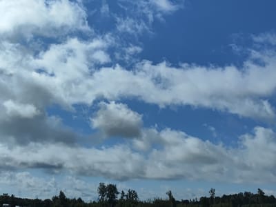 A daytime, outdoor, eye-level medium shot captures a bright blue sky filled with various types of clouds, ranging from wispy cirrus formations near the top to larger, more textured cumulus clouds scattered throughout. The bottom portion of the image is dominated by a dark, dense line of trees and vegetation, indicative of a forest or wooded area, that forms a horizon against the sky. The landscape appears to be in or near Svētciems, Latvia, suggesting a rural or semi-rural setting. No people, vehicles, or specific structures are clearly visible within the frame, with the focus being on the natural elements of the sky and the tree line.