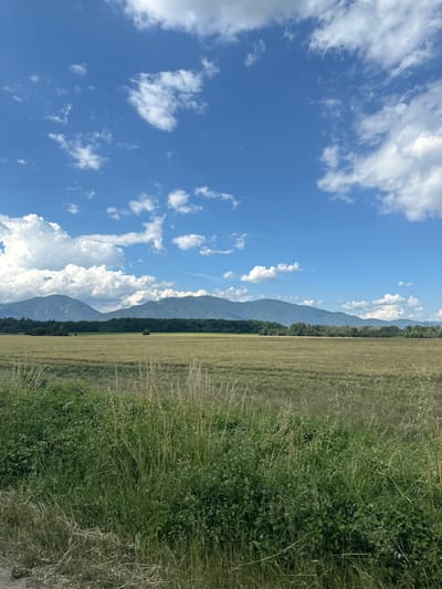 This media file depicts a landscape scene in Tulovo, Bulgaria. The image is oriented vertically, showing a clear blue sky with scattered white cumulus clouds in the left portion. The right side of the image features a long, narrow field of dry, golden grass or hay, stretching towards a line of dark green trees. Beyond the trees, a range of mountains is visible, with some peaks appearing misty and receding into the distance. The overall impression is of a warm, sunny day, likely in late summer or early autumn, given the dry appearance of the field. The scene is peaceful and natural, with no people or man-made objects prominently featured, except possibly a dark, indistinct shape in the field that could be equipment. The lighting suggests it is daytime, with the sun illuminating the sky and landscape. There is no visible text within the image.