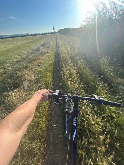 This first-person perspective image, rotated ninety degrees clockwise, captures a person's right arm and hand gripping the handlebars of a bicycle as they navigate a path through a sun-drenched field in Sofronievo, Bulgaria.
The primary subjects are the cyclist's arm and hand, and parts of their black bicycle. Visible bicycle components include the handlebar, rubber grip, brake lever, cables, and a portion of the front wheel with a knobby tire. The bicycle frame prominently displays "ST50" and "SPORT TRAIL" in white lettering.
The scene unfolds along a narrow, worn path cut through a tall field of green and golden grasses or grain. The plants stand high on either side of the path, catching the bright sunlight. Beyond the immediate field to the left, a vast expanse of similar fields stretches towards a distant tree line and subtle hills, all under a clear, bright blue sky with minimal cloud cover.
The activity depicted is cycling or preparing to cycle through this rural setting. Notable details include the intense sunlight, which creates a prominent lens flare and sun rays radiating from the upper left corner of the image (when oriented correctly). This indicates a very sunny day, likely morning or late afternoon. The environment suggests a peaceful, outdoor adventure in an agricultural or natural landscape characteristic of the Bulgarian countryside.