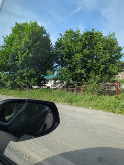 The image shows a view from inside a car, likely taken while driving on a road near Beş-Küŋgöy, Kyrgyzstan. The sky is visible, along with the tops of trees. On the right side of the image is a road with grass growing at the edge. The side mirror of the car is in the foreground, partially obscuring the view of the road. Behind the trees, a building with a green roof can be seen. There's also a section of what appears to be a metal fence.