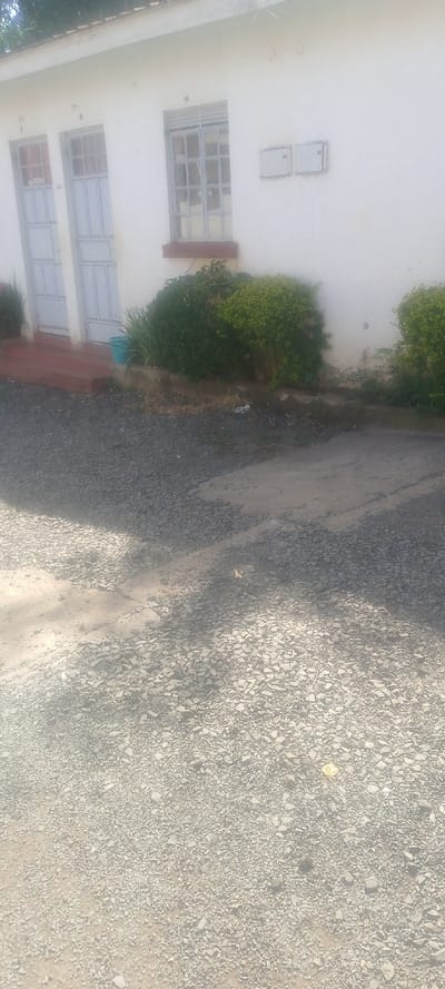 The image depicts the exterior of a white-painted building in West Sakwa ward, Kenya, viewed from a slightly elevated perspective. The foreground consists of a grey gravel and dirt surface with scattered larger stones, marked by distinct shadows from an unseen object to the left. In the midground, a set of reddish-brown concrete steps leads up to the building's facade. To the right of these steps, a low, dark-colored concrete border separates the gravel from a strip of dense green shrubbery planted along the base of the building. A light blue plastic bucket is positioned at the left edge of this shrubbery, adjacent to the steps.
The building's white wall features two light-grey, vertically paneled wooden doors, with the numbers "11" and "19" faintly visible stenciled above the left and right doors, respectively. To the right of the doors is a rectangular window with multiple light-grey frames and a brown sill. Further to the right on the white wall, two rectangular, light-grey utility boxes are mounted horizontally. A light-colored, possibly grey, pitched roofline is visible at the top of the structure. No individuals are present in the scene. The environment appears to be under bright daylight conditions, evident from the strong shadows.