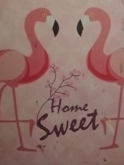 The image displays a decorative artwork featuring two pink flamingos facing each other. Between the flamingos, a sprig of delicate pink flowers is depicted. Below the flowers, the words "Home Sweet" are written in dark lettering. The overall aesthetic is soft and pastel, with a light pink background. The image is a close-up shot, focusing solely on the artwork and its elements. No information about the city of Berezivka, Ukraine, is present in the image itself.