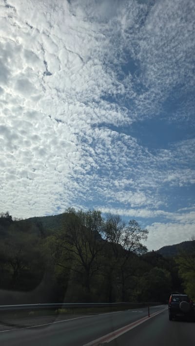 The image shows a view from a moving vehicle, possibly in Poleto, Bulgaria. The primary subject is the sky, filled with a dense, textured layer of small, puffy white clouds against a blue backdrop. Some power lines are visible running across the sky. To the right of the frame, a forested hillside rises. A section of paved road is visible with a dark car driving forward. The vegetation is lush, suggesting a rural or natural environment.