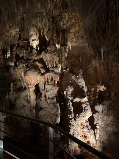 The image depicts the interior of the Cave of Petralona in Πετράλωνα, Greece. The walls are composed of rock formations, likely stalactites and stalagmites, with varied textures and patterns. A portion of a metal staircase is visible on the right side of the frame. There is no visible people or animals in the scene. The lighting is dim and appears to be artificial.