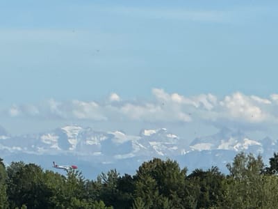 In Lufingen, Switzerland, a passenger airplane with a red and white livery is captured mid-flight against a backdrop of snow-capped mountains. The airplane is positioned in the lower left quadrant of the image, appearing to ascend or descend. The majestic mountain range, partially obscured by atmospheric haze and clouds, dominates the mid-ground. Lush green trees form a dense forest in the foreground, framing the lower edge of the scene. The sky is a clear, pale blue, with scattered white clouds that suggest fair weather. Several small, dark specks are visible in the sky, which may be birds or insects, though their exact nature is indeterminate. The image offers a scenic view, blending natural landscapes with aviation activity.