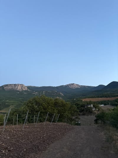 A vertical, medium shot captures a landscape scene near Lazurnoe, Ukraine, under a clear, pale blue sky. In the foreground, a dirt path with loose soil and small rocks leads diagonally from the lower right towards the center. To the left of the path, a tilled field displays rich, dark brown soil. A series of metal posts with wires, likely part of a vineyard or fence, are arranged in a line across the field, angled towards the left. Behind the field, dense green trees create a lush backdrop. Further in the distance, rolling hills covered in greenery ascend towards rugged, rocky mountain peaks. A few scattered buildings are visible nestled among the trees on the slopes. The overall scene depicts a rural, natural environment with evidence of agricultural activity.