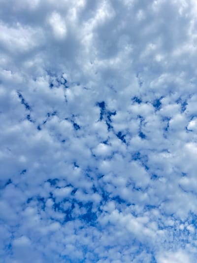 The image captures a dynamic sky over Borowa, Poland, filled with a scattered layer of cumulus clouds against a vibrant blue backdrop. The clouds vary in density, with some appearing bright white and fluffy, while others are more translucent, allowing glimpses of the deep blue sky peeking through. In the upper right and central portion of the image, several small, dark shapes are visible, appearing to be birds in flight. The lighting suggests it is daytime, with the sun likely positioned above and slightly to the left, illuminating the clouds and casting shadows that give them depth and texture. The overall impression is one of a breezy, open sky, typical of many weather conditions.