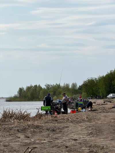 The image shows a group of people fishing along a riverbank in what appears to be Krasnyi Bor, Russia. Multiple individuals are spaced along the shore, each with fishing rods extended towards the water. Fishing equipment such as chairs, tackle boxes, and rod holders are visible at each station. The river bank is composed of earth and dry vegetation. Trees line the opposite side of the river. The sky is overcast. A vehicle and trailer can be seen in the background.