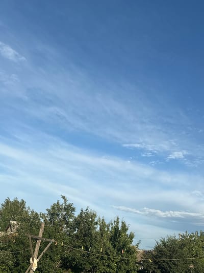 The image depicts a clear blue sky with wispy white clouds stretching across the upper portion. The lower section of the frame is filled with the dense green foliage of trees, suggesting an outdoor, possibly rural or suburban, setting. A wooden clothesline with several yellow clothespins is visible, strung between trees in the foreground. In the background, the roofline of a building can be partially seen peeking through the leaves. The lighting suggests it is daytime, likely morning or afternoon, with the sun casting shadows on the trees. This scene is consistent with the environment found in the city of Tobyl, Kazakhstan, which is known for its natural landscapes and residential areas with ample greenery. There are no people or specific actions depicted in the image.