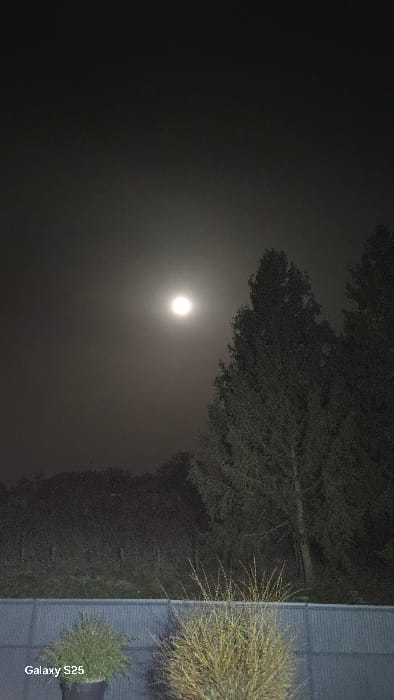 The image depicts a nocturnal exterior scene in Ottonville, France. The sky is dark grey, with a bright, full moon centrally positioned in the upper-left quadrant, emitting a strong glow through a diffused atmospheric haze. Several tall, dark evergreen trees stand on the right side, extending from the mid-frame upwards. A dense line of other trees and shrubs forms a dark silhouette against the faintly lit horizon in the distant midground. A light-colored, corrugated metal fence runs horizontally across the lower mid-section of the frame. In the immediate foreground, two bushes are visible: a dark green, potted shrub on the left, and a lighter-toned, deciduous shrub with visible branches on the right. No people, actions, or interactions are present. A "Galaxy S25" watermark is located in the lower-left corner.