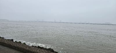 The image displays a wide, expansive view of a grey body of water under an overcast and hazy sky. In the foreground on the left, a robust embankment or seawall is visible, constructed from concrete or rocks and densely covered in numerous small, light-colored bivalves, likely mussels or shells. A dark, flat surface, possibly a path or road, runs along the top of this barrier.

The water, a muted grey-green, exhibits a textured surface with ripples and small glints of light, suggesting movement. Patches of white foam or turbulent water are visible closer to the embankment.

In the middle distance, a long, dark line of what appears to be a man-made structure, possibly a breakwater or a series of interconnected barriers, extends horizontally across the water. Beyond this structure, the distant shoreline is heavily obscured by thick haze or fog. Through the atmospheric veil, faint silhouettes of large industrial cranes, buildings, and other port infrastructure are discernible, indicating a bustling industrial or harbor area. These structures are scattered along the distant horizon, blending into the grey sky.

No people or specific activities are visible in the scene. The weather is characterized by low visibility, an overcast sky, and a muted color palette. These elements, combined with the industrial infrastructure, strongly suggest the entrance to a major port. The location context provided confirms this is the Hook of Holland, Netherlands. There is no visible text in the image.