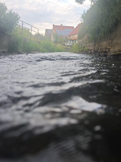 The image depicts a low-angle view of a shallow stream flowing through a residential area in Lügde, Germany. The water is clear and shows ripples, with the bottom composed of dark stones and gravel. On the left bank, lush green vegetation and trees grow, partially obscuring a metal railing. Across the stream, on the right bank, a stone wall and more greenery are visible. In the background, several houses with red-tiled roofs and solar panels are situated on a gentle slope. The sky is overcast with a few wispy clouds. The scene appears to be a tranquil, natural setting within a populated area.