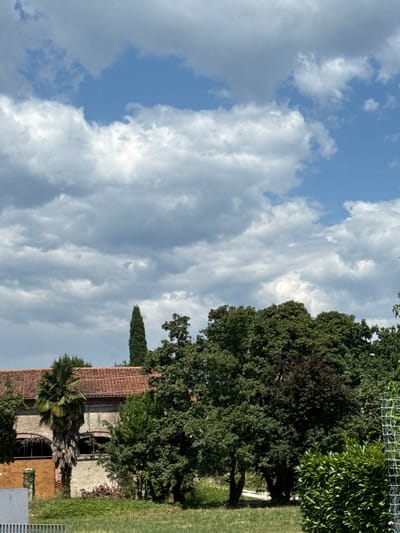 This is a vertical, medium-angle shot of a rustic Italian building with a terracotta-tiled roof. The building appears aged and has arched openings. In front of the building, there is a palm tree and other greenery. The background features a large, lush green tree and a fence at the top right. The sky is filled with dramatic, fluffy white and gray clouds, suggesting a partly cloudy day. The lighting indicates it is likely daytime, possibly late morning or early afternoon. The overall scene evokes a sense of rural tranquility and historical architecture in Italy, with Sarcedo being the identified location. No people are visible in the image, and there is no discernible text.