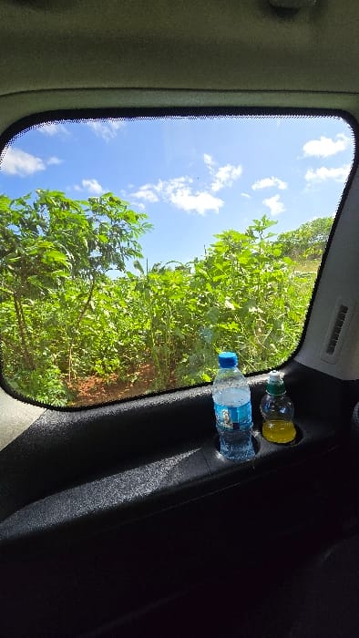 The image presents a view from inside a vehicle, looking out a large side window at a vibrant outdoor landscape. The sky, occupying the upper portion of the exterior view, is a clear, bright blue with scattered white cumulus clouds. Below the sky, a dense expanse of lush green vegetation dominates the scene, appearing to be either cultivated crops or abundant wild plants. Patches of reddish-brown earth are visible through the foliage, suggesting rich soil.
Inside the vehicle, the window is bordered on the left by a light-colored fabric or plastic trim, possibly part of a pillar. On the right, a darker, possibly black, interior panel features two integrated cup holders. One holder contains a clear plastic bottle filled with water, distinguished by a blue cap and an unreadable blue label. Directly behind it, another smaller plastic bottle holds a yellow liquid, likely juice, and has a green cap. Above these bottles, a rectangular vent is subtly visible in the dark panel.
The scene depicts a journey or a stop in a rural or agricultural setting. The bright illumination indicates it is daytime, under clear weather conditions. No people are visible in the frame. The provided location context is Shimbi Mashariki, Tanzania, which is consistent with the appearance of the tropical vegetation and soil.