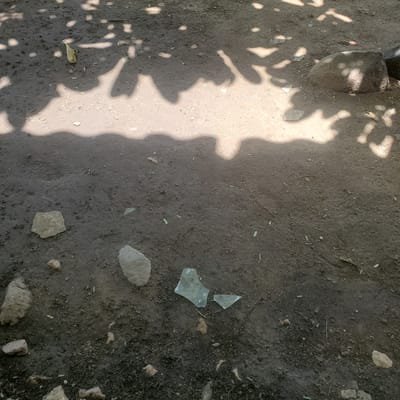 This media file depicts a ground-level view of a rough, uneven surface that appears to be dirt or packed earth, with scattered rocks and debris. The scene is partially illuminated by sunlight casting shadows of foliage onto the ground.

The subjects are primarily the ground itself, with natural elements like stones and what seems to be broken glass. There are also small green fragments scattered across the surface, possibly leaves or plant matter. The shadows suggest the presence of trees or bushes above, implying an outdoor setting. The time of day appears to be daytime, given the bright sunlight and distinct shadows. The weather seems to be clear and sunny.

Notable details include the contrast between the sunlit areas and the shadowed areas, creating a dappled effect. The presence of broken glass could indicate human activity or a hazard within the environment. The texture of the ground varies, with some areas appearing smoother and lighter, possibly due to more direct sunlight, while others are darker and more textured.

There is no visible text in the image. The overall impression is one of a rustic or undeveloped outdoor space. Given the location context of Ribina East, Nigeria, this scene might represent a pathway, yard, or undeveloped area within a rural or semi-rural setting. There are no active events or people depicted, focusing instead on the static elements of the environment.